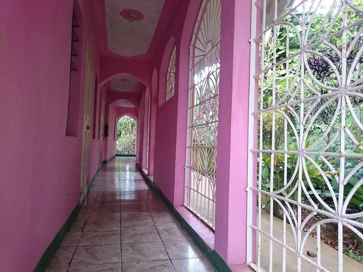 Nine Miles Cultural Hangouts And Tours Stepney Jamajka