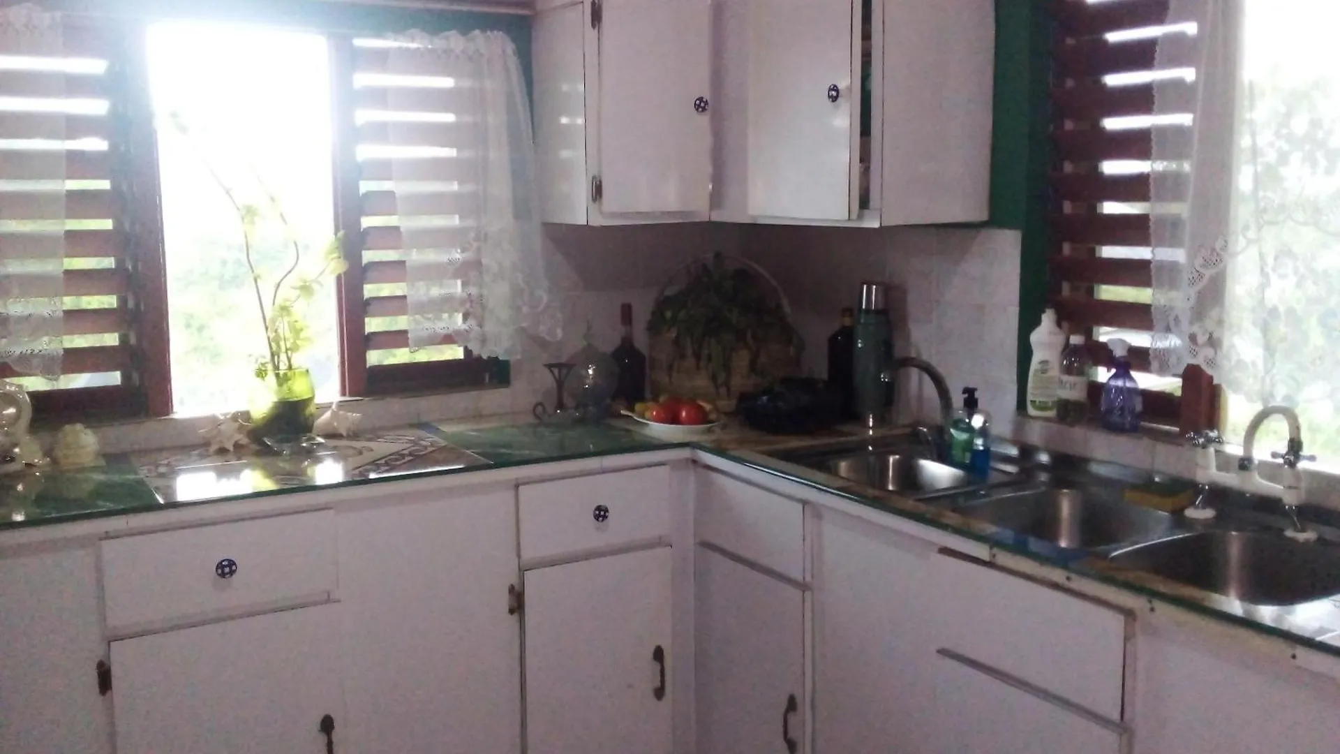 Nine Miles Cultural Hangouts And Tours Stepney Jamaica